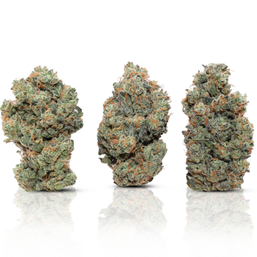 Gelapple 3 1000px Gelapple 3 1000px