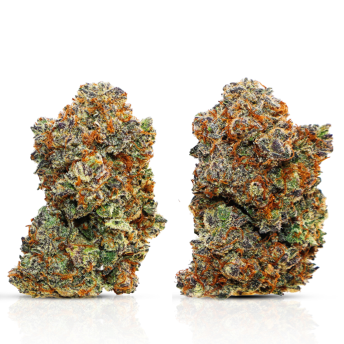 Milk bone 2 1000px Milk bone 2 1000px