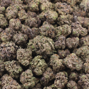 El Chapo Og Small