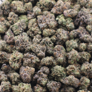 Violator Kush Small