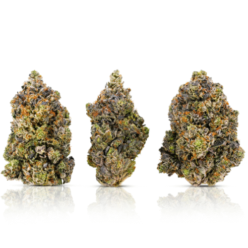 Bq39.5 3b 1000px Bc Rocstar Bq39.5 3b 1000px Bc Rocstar