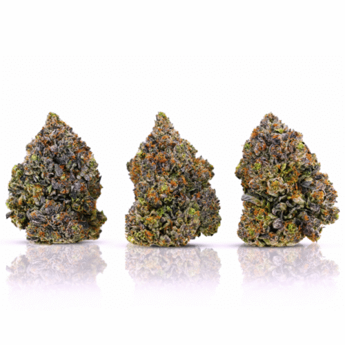 bq45 3b 1000px _ pink gas bq45 3b 1000px _ pink gas