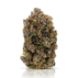 zee 1b 1000px _ death bubba