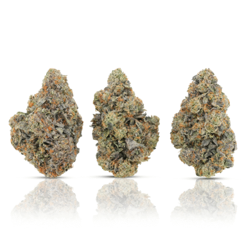 Ice Cream Cake #402 Ice Cream Cake #402