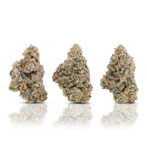 Sunset Sherbert #403 Sunset Sherbert #403