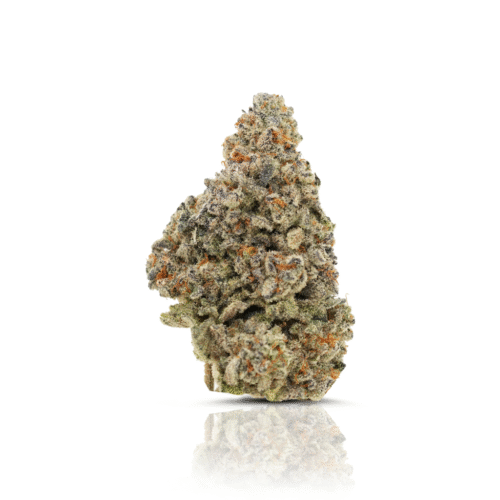 Sunset Sherbert #403 Sunset Sherbert #403