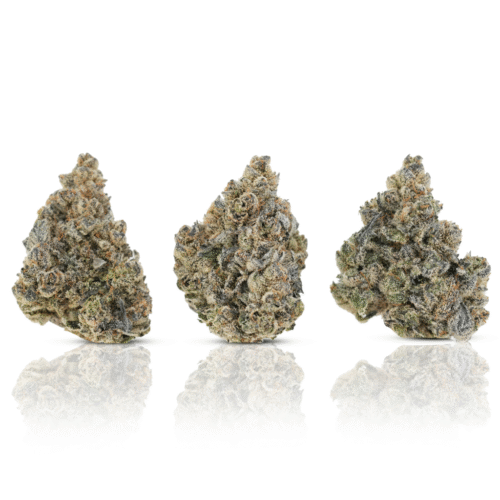 bottom bird 3 b bottom bird 3 b