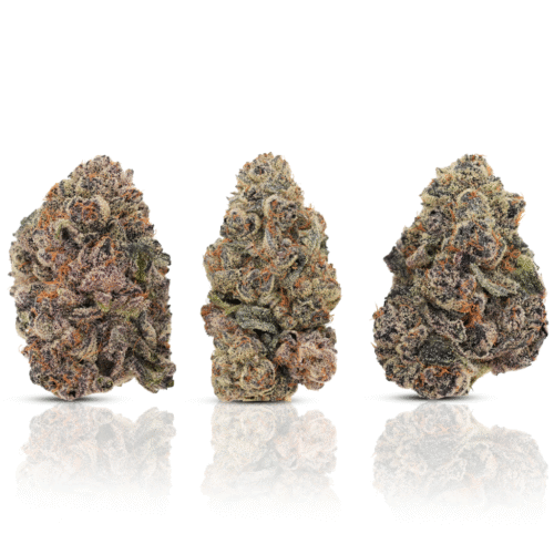 _grape gas #401 _grape gas #401