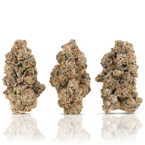 slurriocane 3b slurriocane 3b